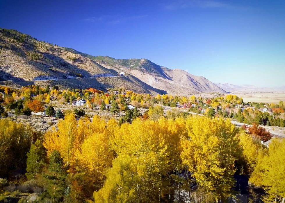 A high-angle view of fall colors on the Kingsbury Grade.