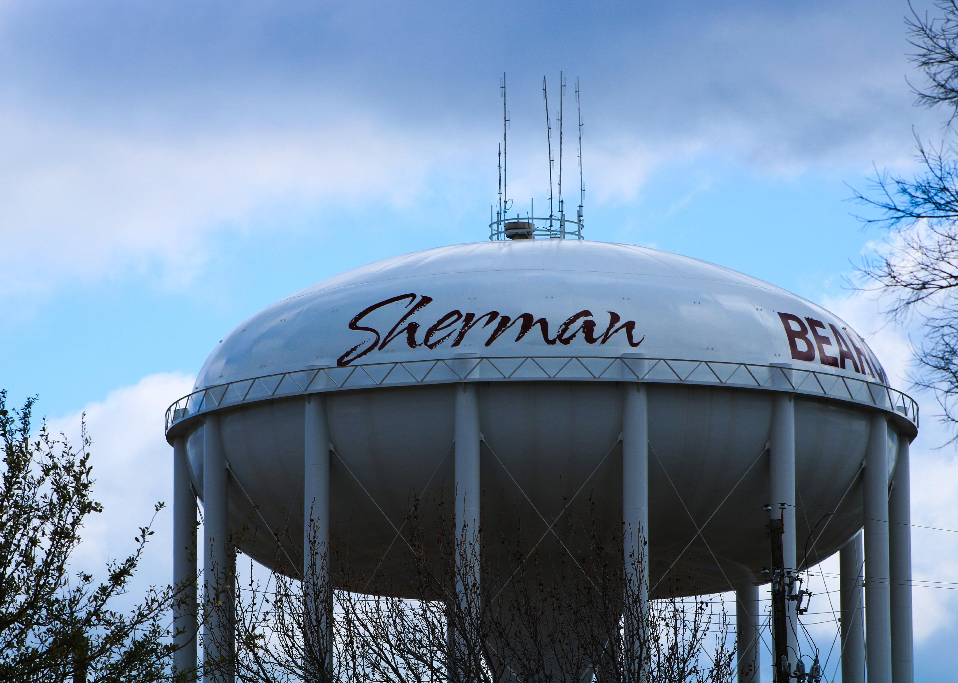 Water tower with barren trees and a telephone pole on a cloudy day in Sherman, Texas.