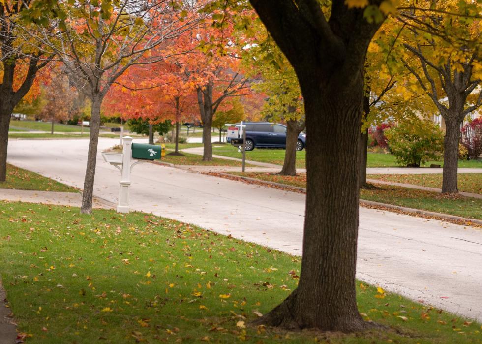 Autumn trees on a suburban neighborhood street.