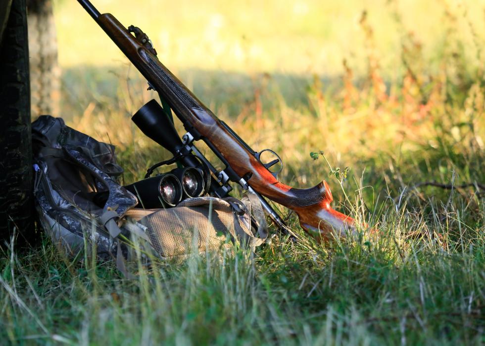 Hunter's binoculars, rifle and bag laid on grass in a forest.