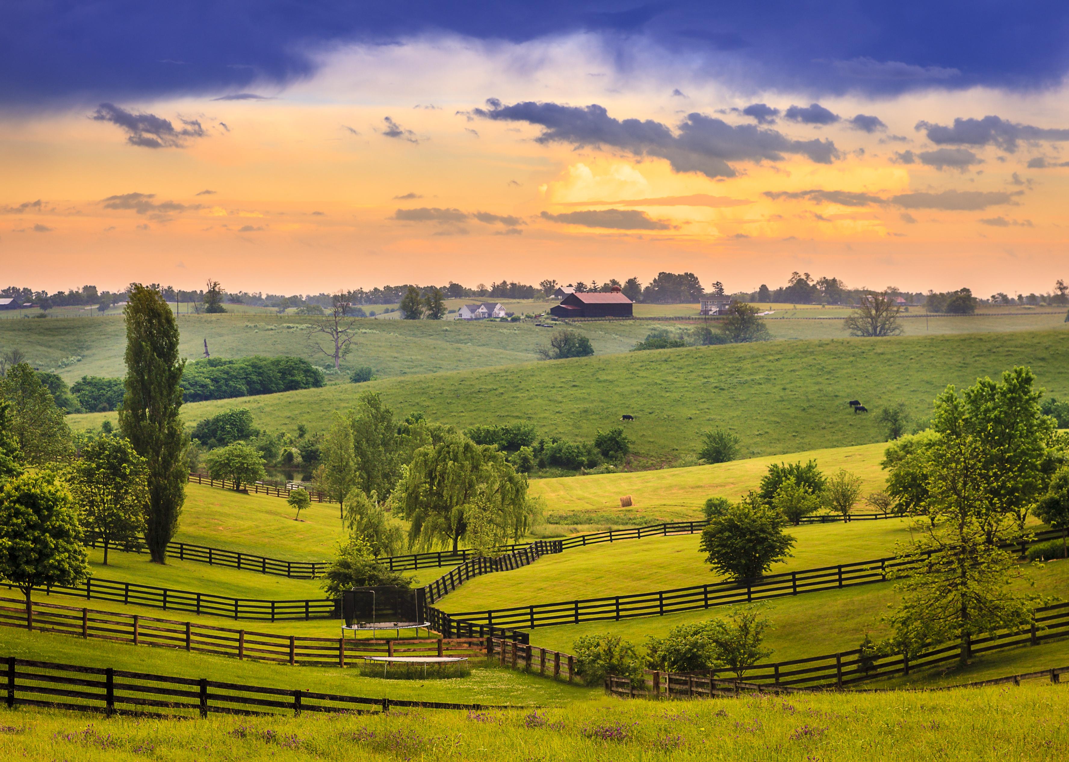 Kentucky country evening.