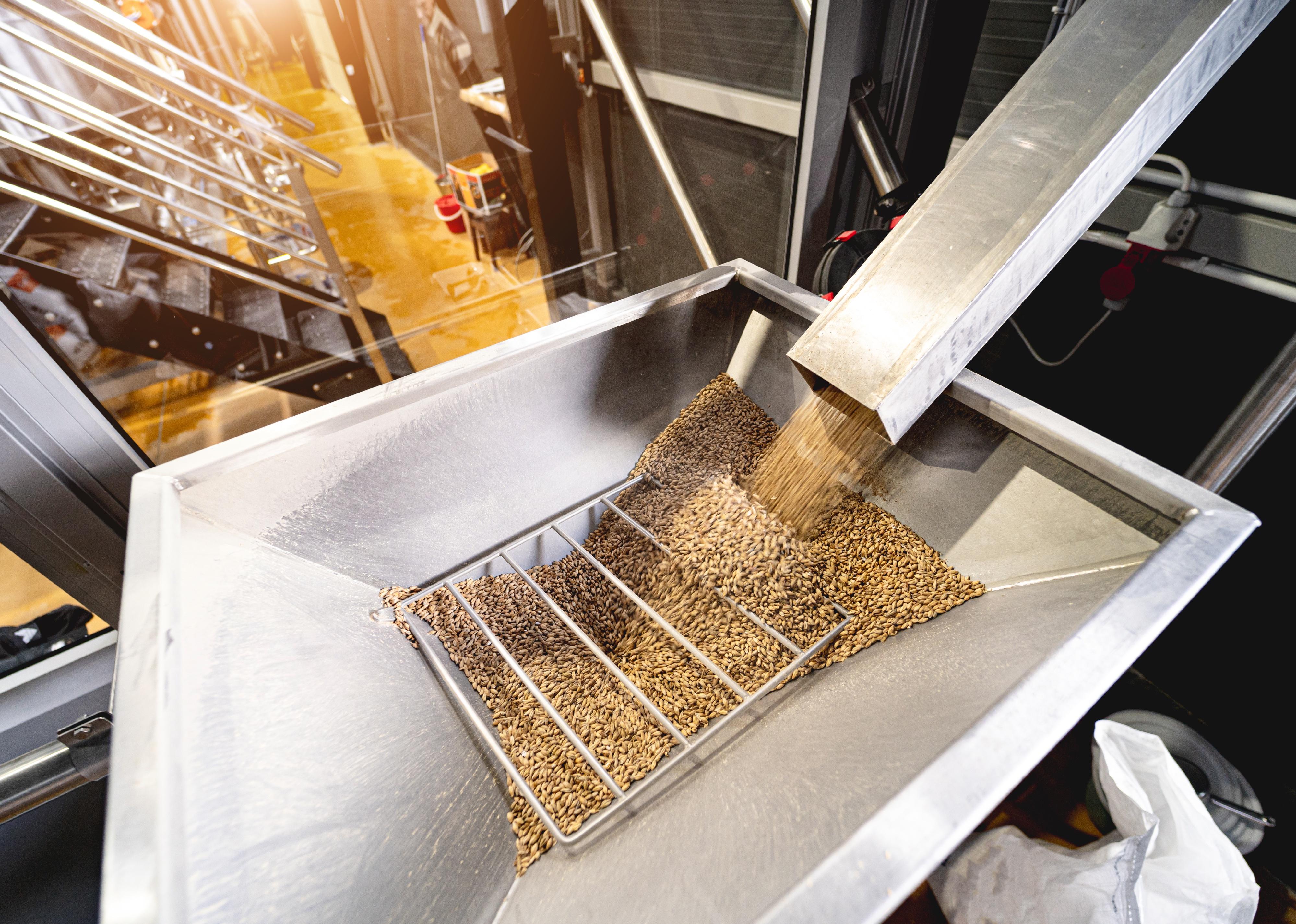The technological process of grinding malt seeds at the mill