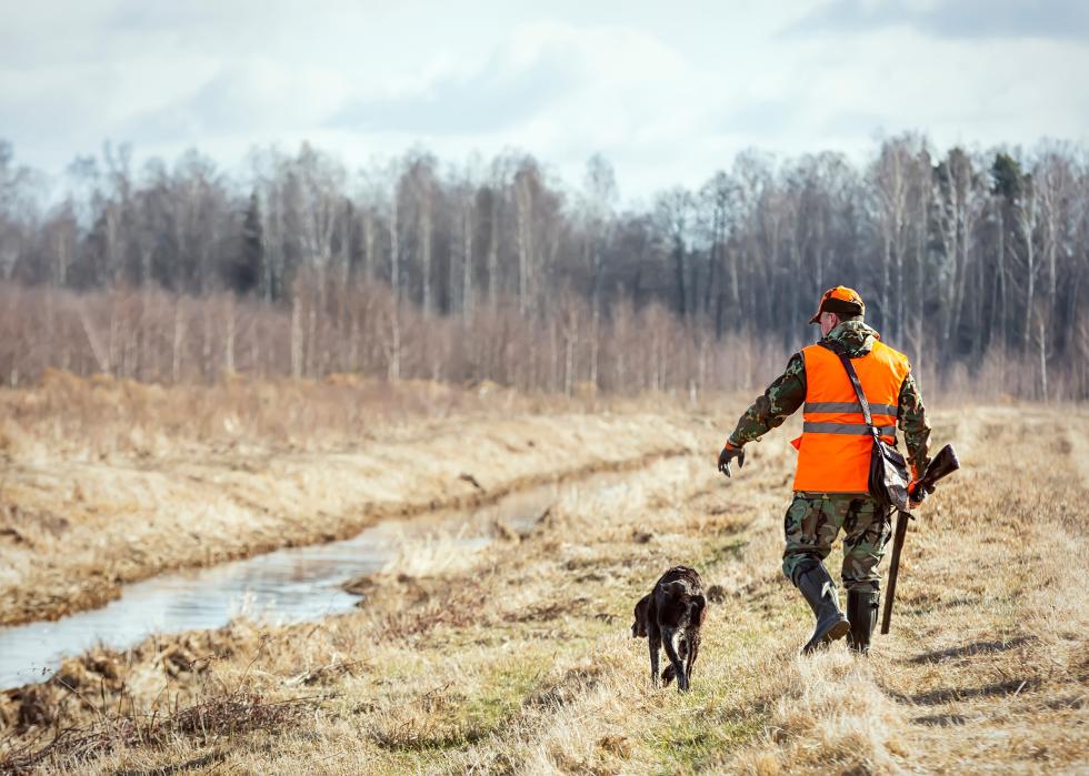 Hunter walking with rifle and a dog.