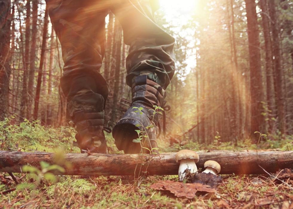 Low angle of a hunter walking.
