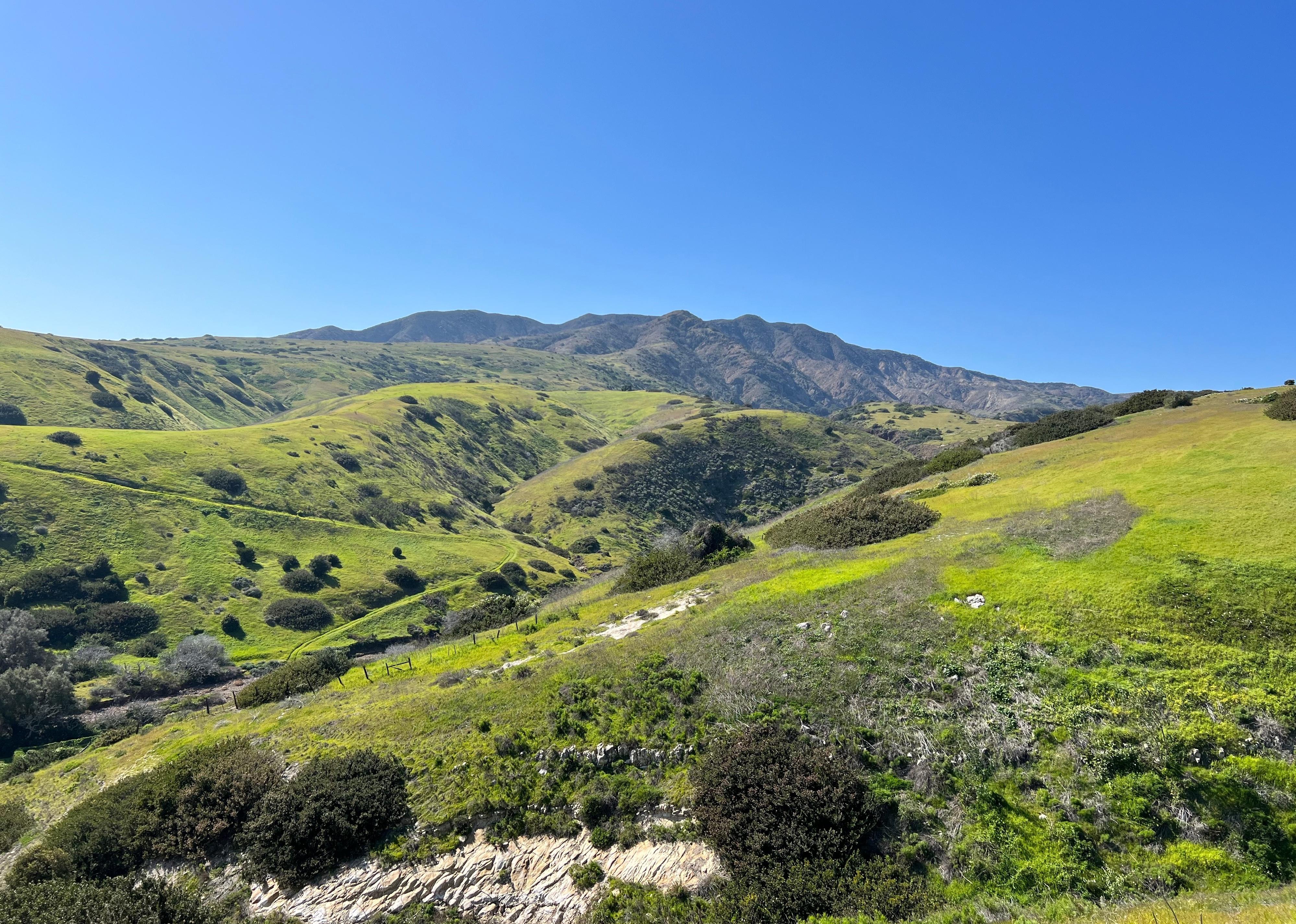 Scenic view at Channel Islands National Park.