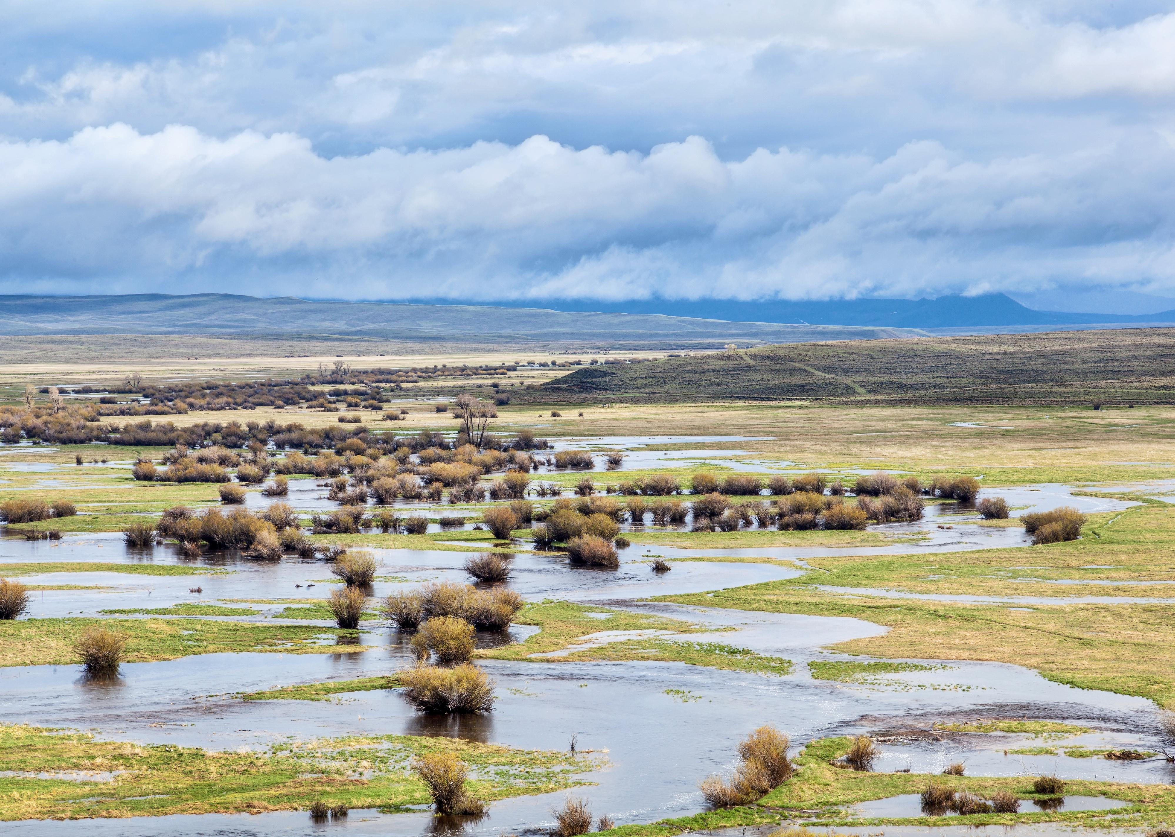 Illinois River meanders through Arapaho National Wildlife Refuge near Walden, Colorado.