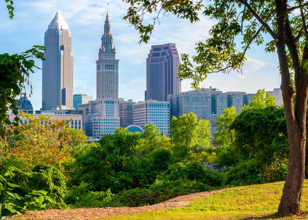 Cleveland, Ohio, in morning light framed by trees in a small park
