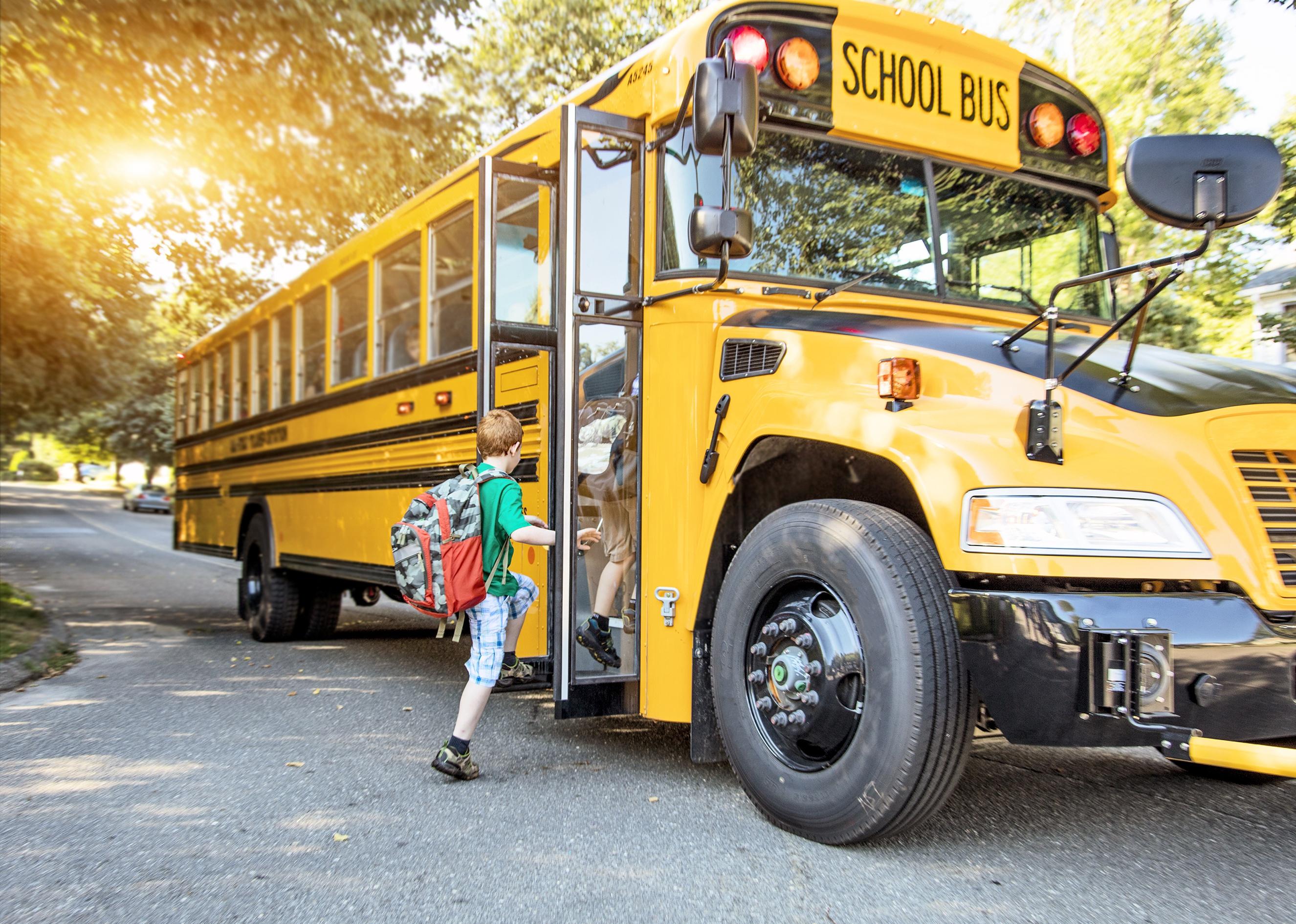 A group of young children getting on the schoolbus.