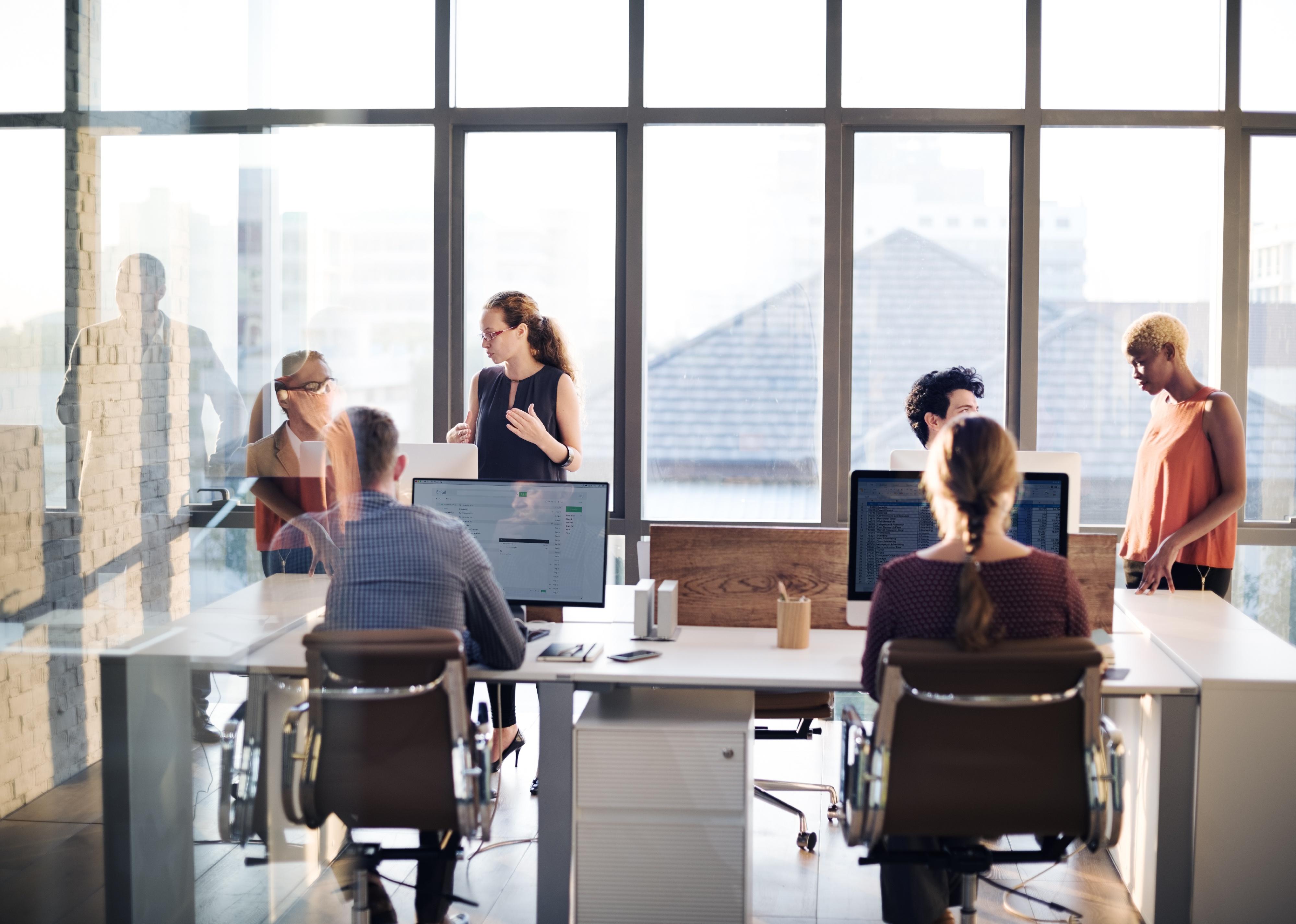 Group of professionals in a meeting.