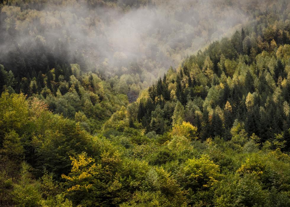 Mountain autumn landscape with colorful forest