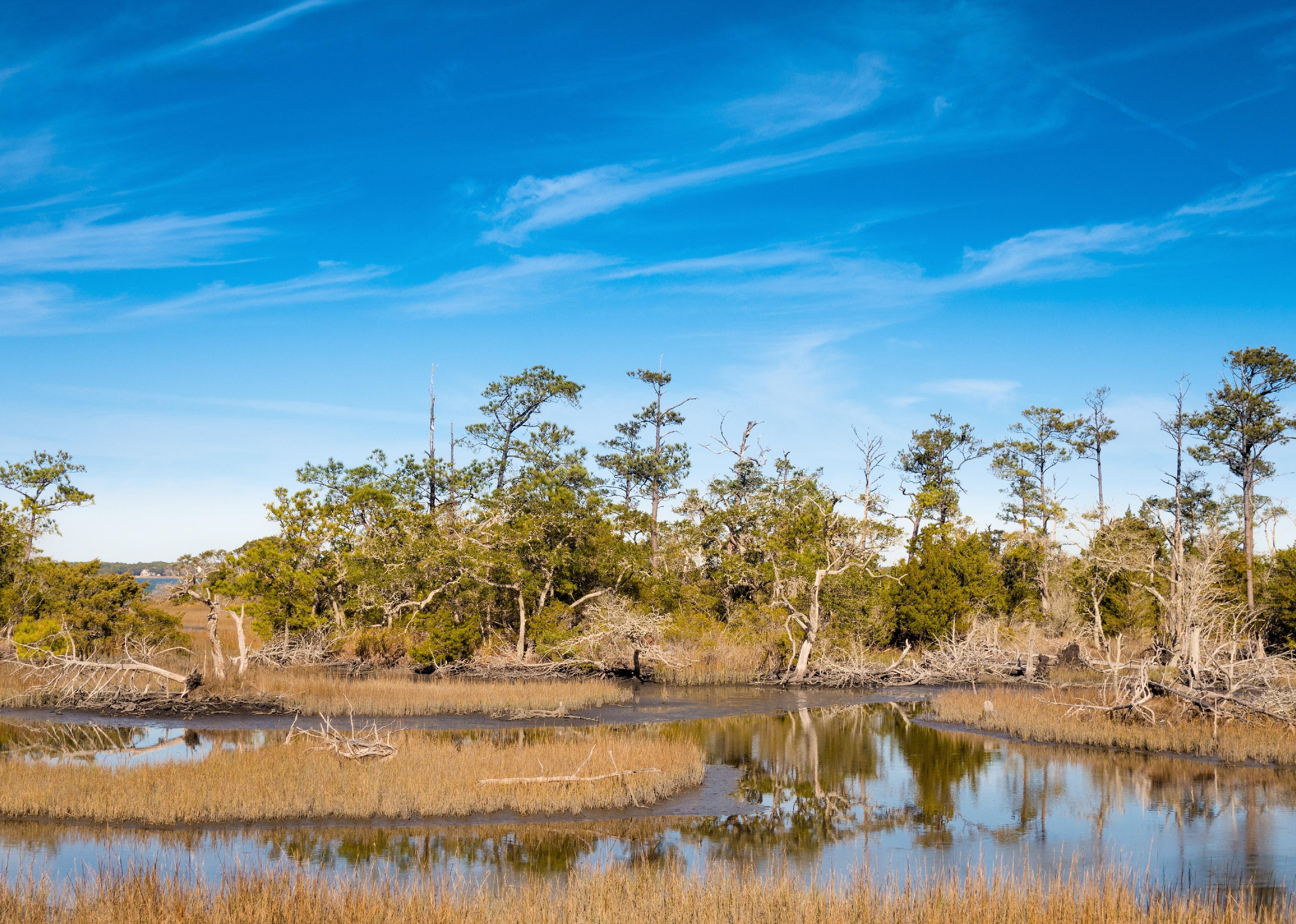 Overview of the Bogue Sound coastal area.