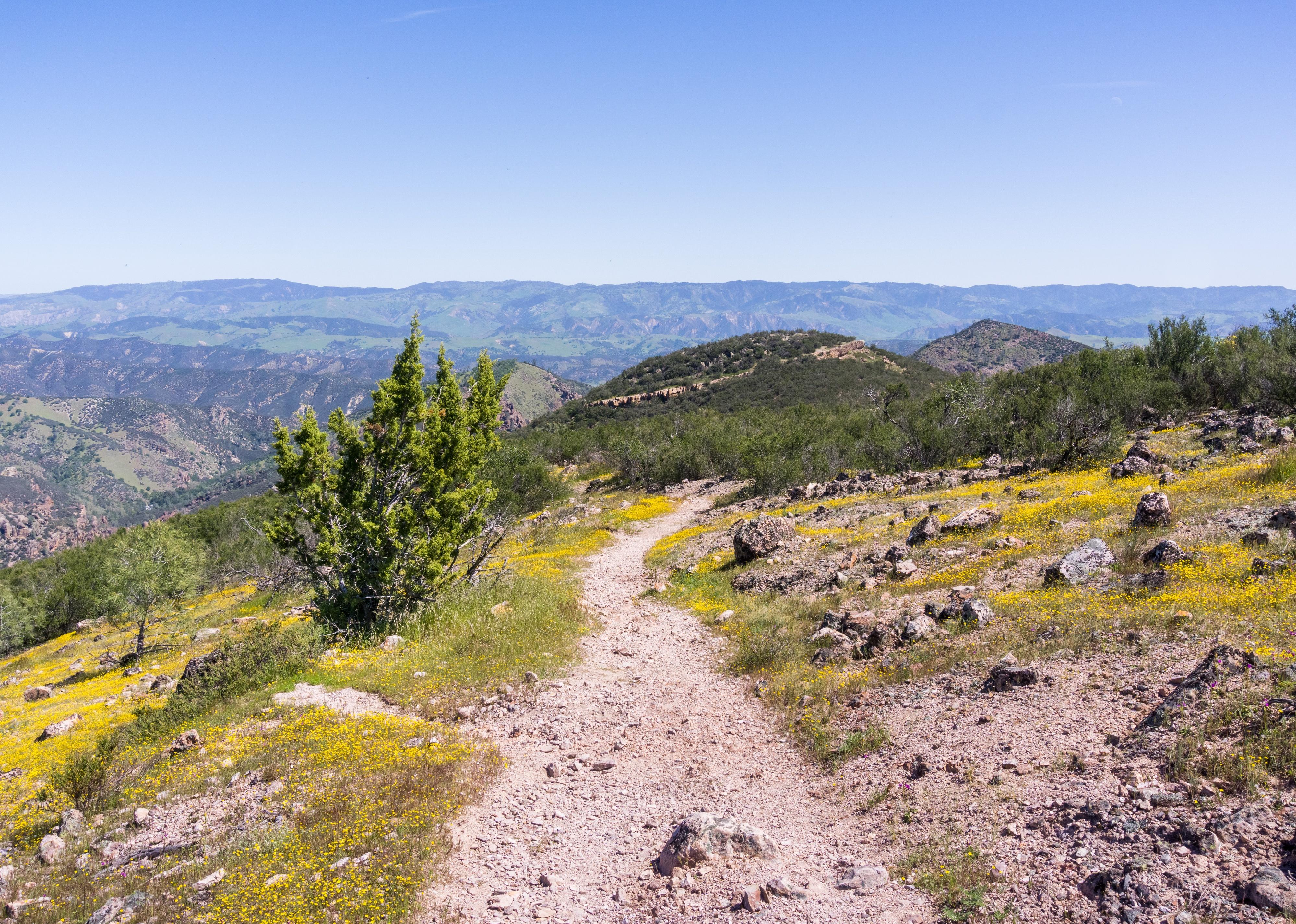 Trail to Chalone North Peak in Pinnacles National Park.