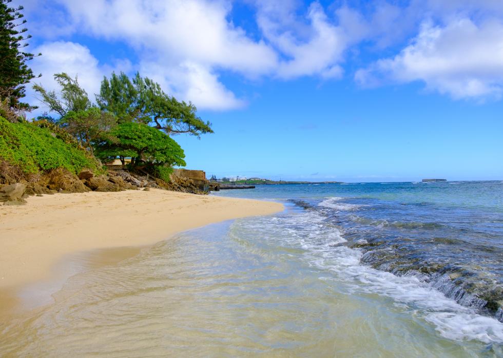 View of coastline and palm trees.