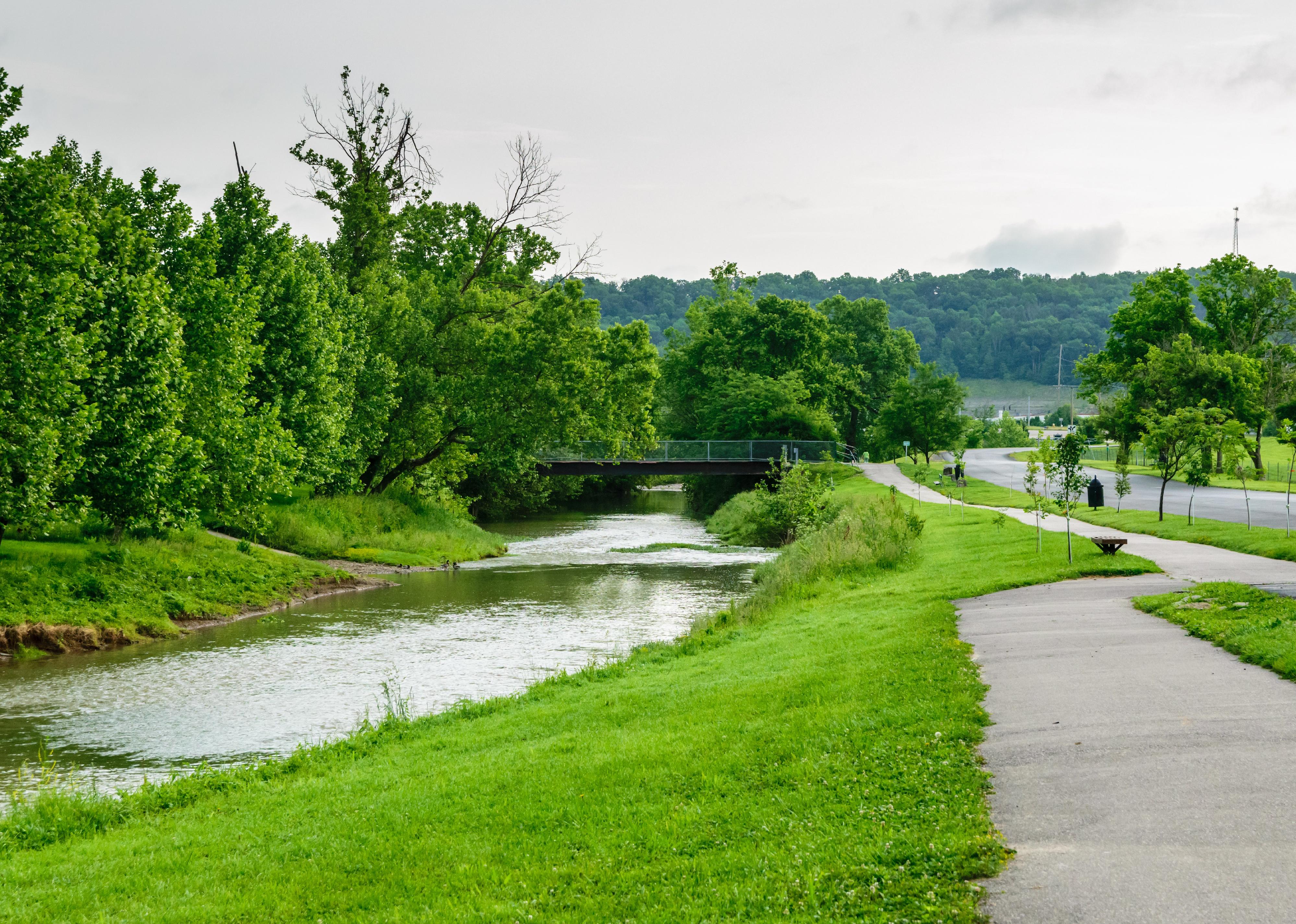 Beautiful walking trail view next to a creek.