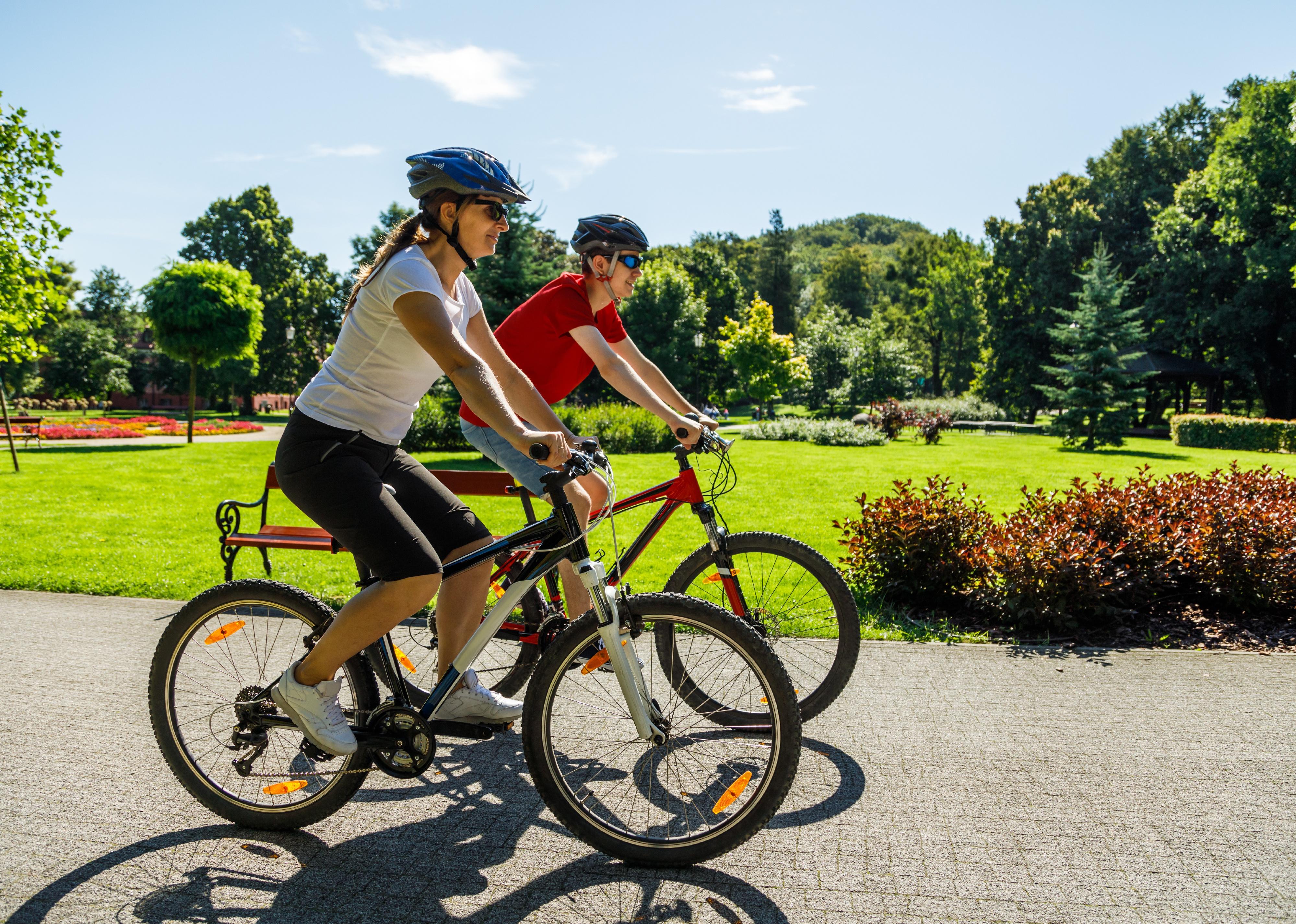 People riding bicycles in a city park.