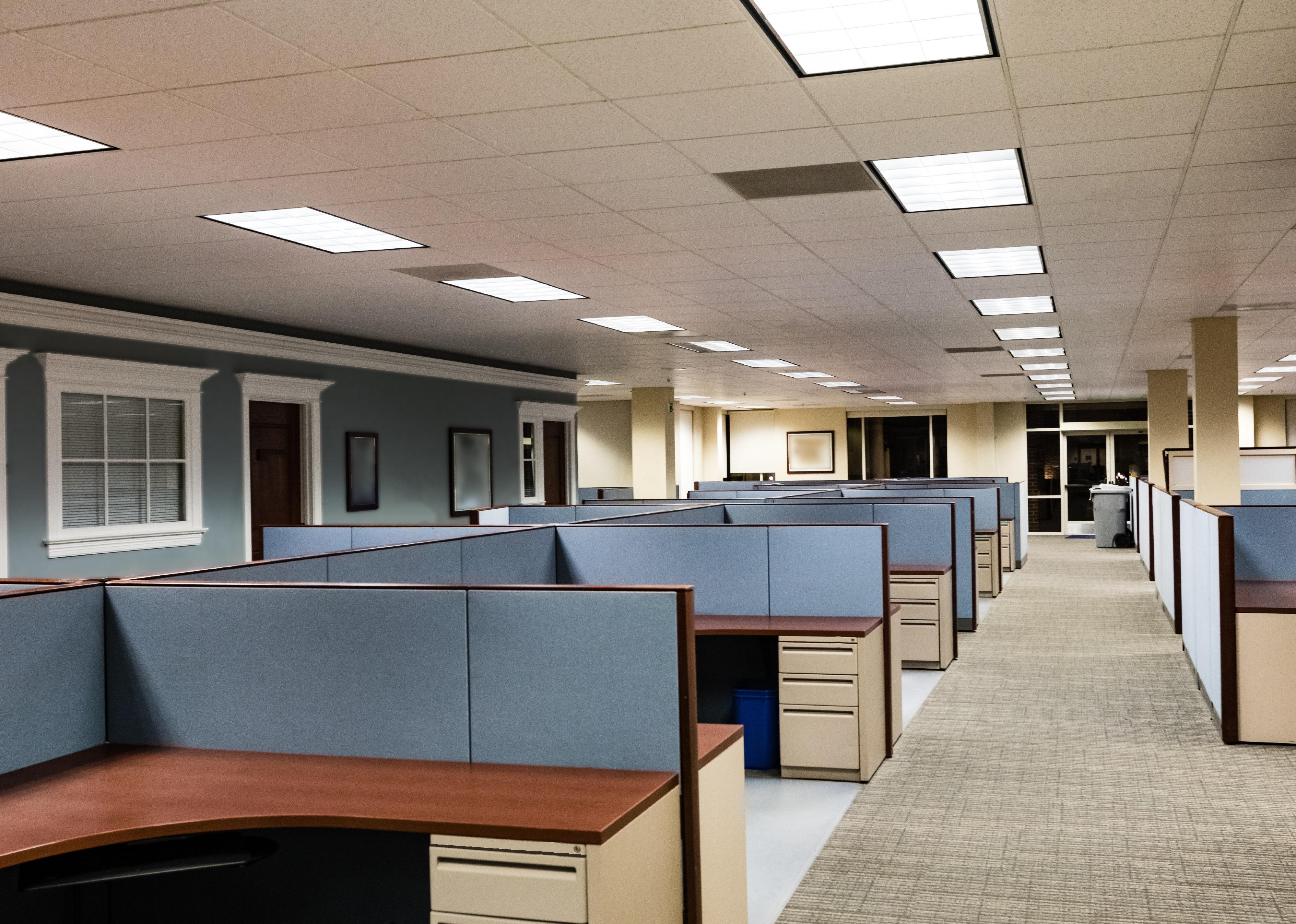 Empty cubicles in an office.