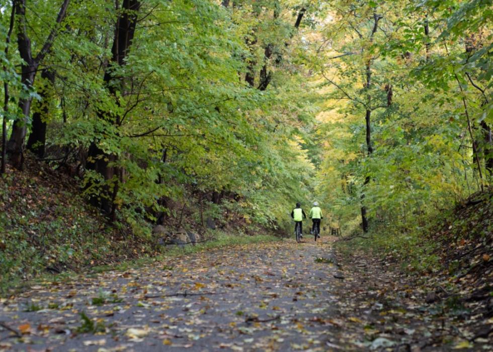 Two cyclists on a wooded trail.