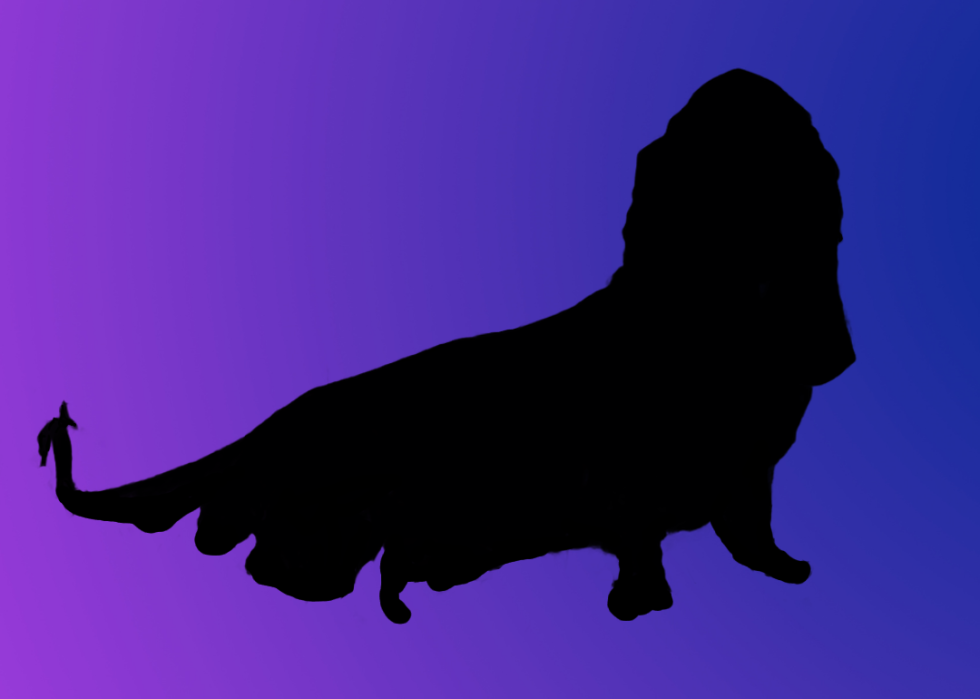 A silhouette of a dog