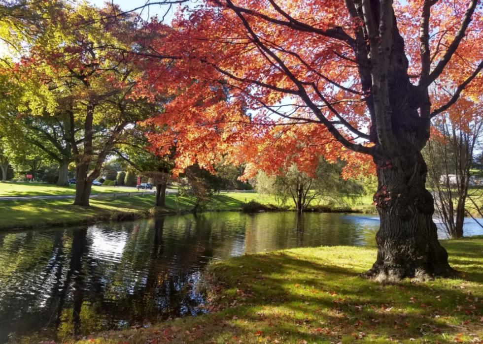 A pond in front of Fairfield University in Fall.