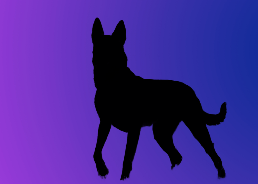 A silhouette of a dog