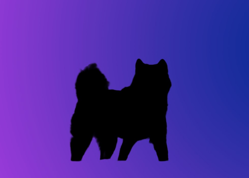 A silhouette of a dog