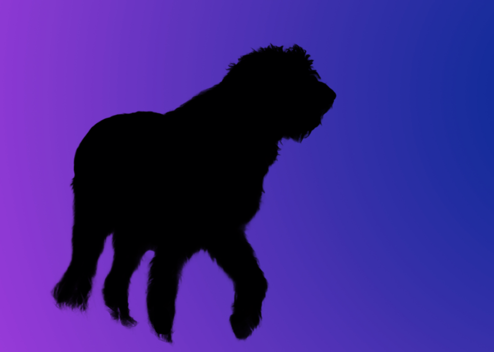 A silhouette of a dog