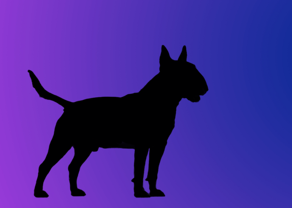 A silhouette of a dog