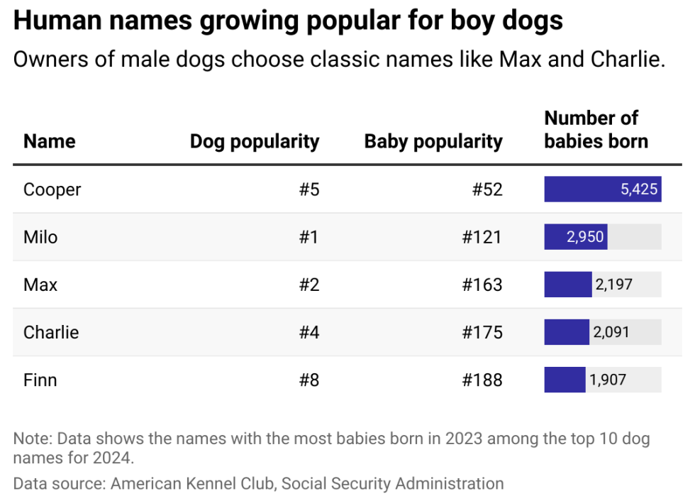 A table showing the names with the most babies born in 2023 among the top 10 boy dog names for 2024.