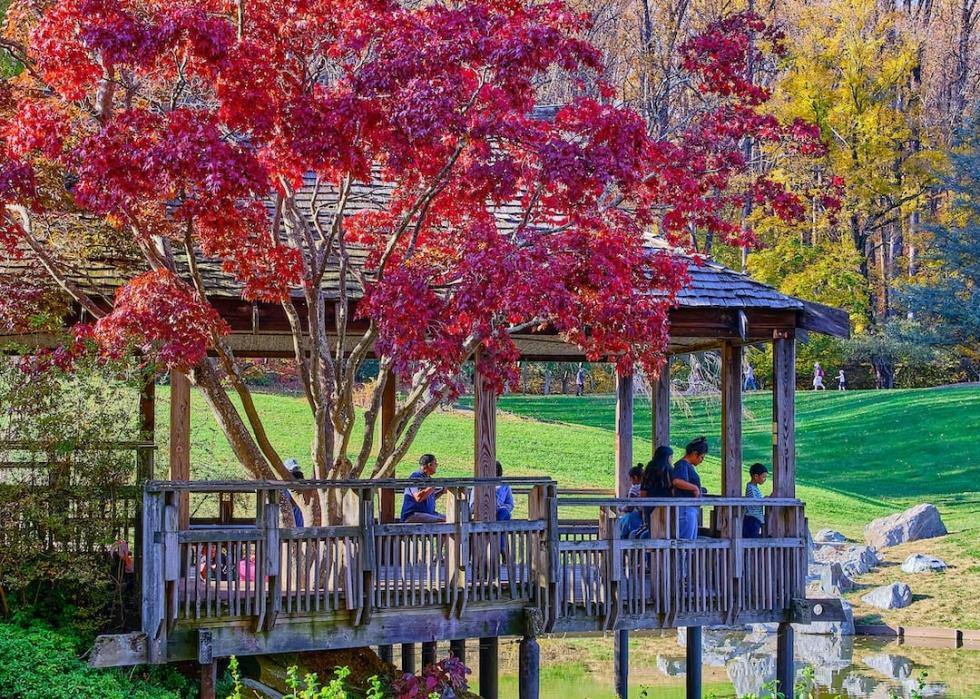 The Brookside Gardens in Wheaton, Maryland, near Four Corners.