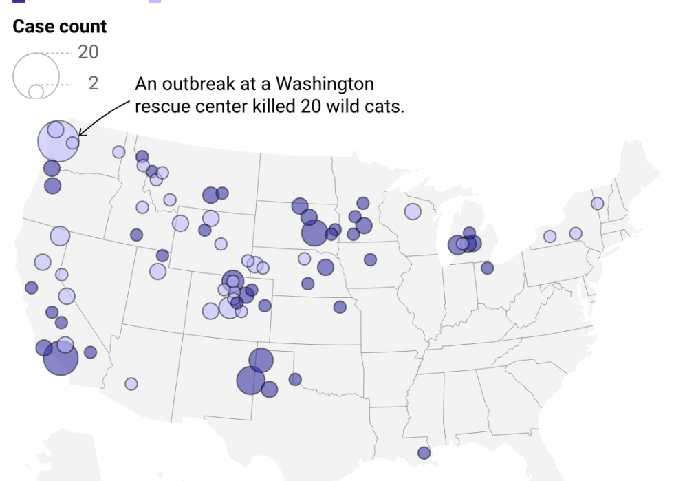 Map showing reports of cat avian flu concentrated in West Coast. Since April 2022, there have been 149 detections of infected cats.