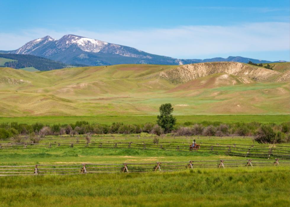 A person on horseback with mountains in the background.