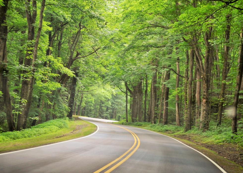 A road winding through Tennessee