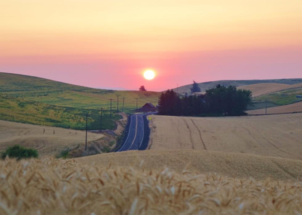 The sun setting over a highway winding through wheat fields.
