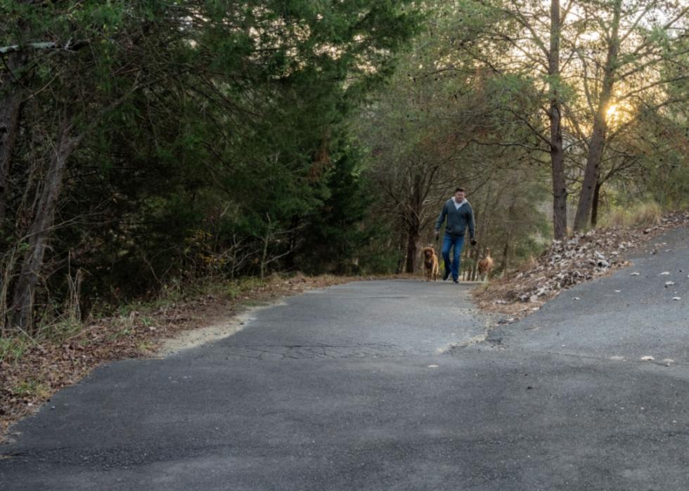 A man walking dogs on a nature trail.