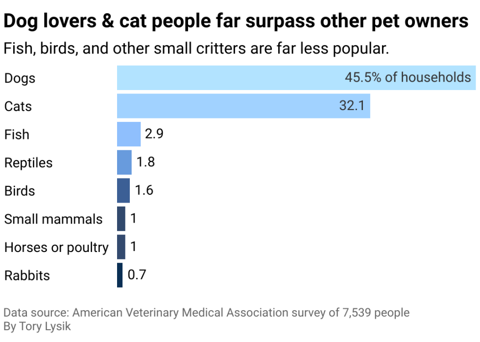 A bar chart showing that dogs are far more popular than other pets.